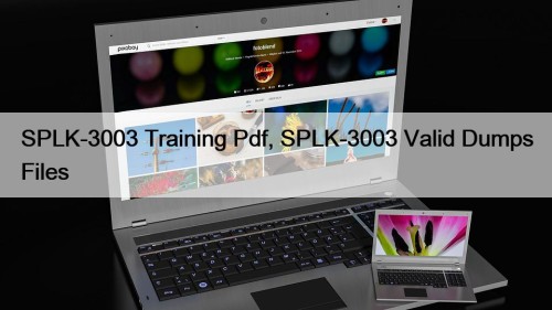 SPLK-3003 Training Pdf, SPLK-3003 Valid Dumps Files