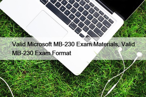 Valid Microsoft MB-230 Exam Materials, Valid MB-230 Exam Format