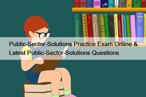 Public-Sector-Solutions Practice Exam Online & Latest Public-Sector-Solutions Questions